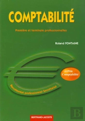 Comptabilite ; 1e Et Terminale Professionnelles ; Baccalaureat Professionnel Secretariat