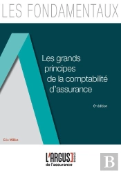 Comptabilite Des Organismes D'Assurance