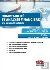 Comptabilite Et Analyse Financiere - Une Perspective Globale