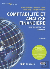 Comptabilite Et Analyse Financiere Une Perspective Globale