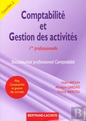 Comptabilite Et Gestion Des Activites 1e Professionnelle