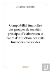 Comptabilite Financiere Des Groupes De Societes : Principes D Elaboration Et Cadre D Utilisation Des
