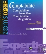 Comptabilite Financiere Et De Gestion ; Dpecf Epreuve 4