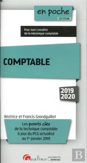 Comptable 2019 - 11eme Edition - Les Points Cles De La Technique Comptable A Jour Du Pcg