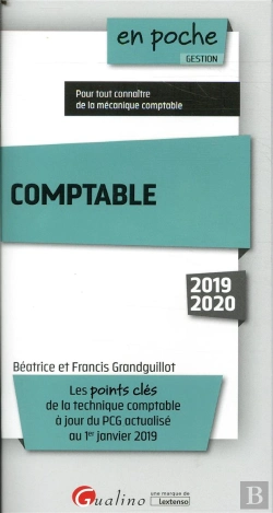 Bertrand.pt - Comptable 2019 - 11eme Edition - Les Points Cles De La Technique Comptable A Jour Du Pcg