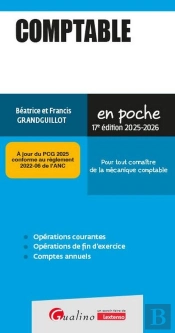 Comptable : Pour Tout Connaître De La Mécanique Comptable (Édition 2025/2026)