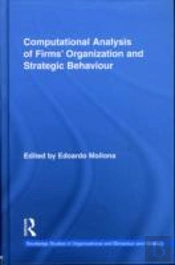 Computational Analysis Of Firmsâ€™ Organization And Strategic Behaviour