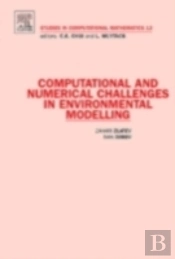 Computational And Numerical Challenges In Environmental Modelling