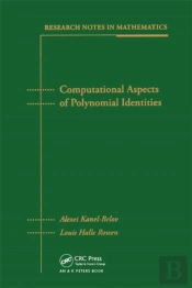 Computational Aspects Of Polynomial Identities