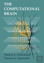 Computational Brain