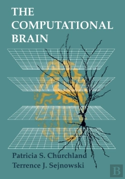 Bertrand.pt - Computational Brain