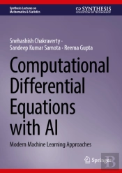 Computational Differential Equations With Ai