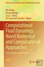 Computational Fluid Dynamics: Novel Numerical And Computational Approaches