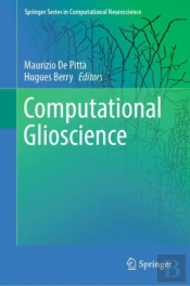 Computational Glioscience