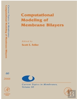 Bertrand.pt - Computational Modeling Of Membrane Bilayers
