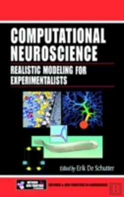 Bertrand.pt - Computational Neuroscience