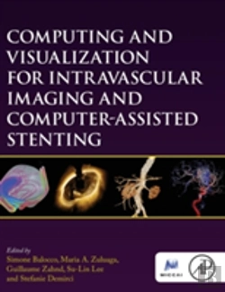 Bertrand.pt - Computing And Visualization For Intravascular Imaging And Computer-Assisted Stenting