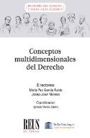 Conceptos Multidimensionales Del Derecho