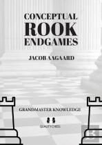 Conceptual Rook Endgames