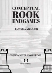 Conceptual Rook Endgames