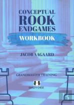 Conceptual Rook Endgames Workbook