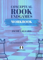 Conceptual Rook Endgames Workbook
