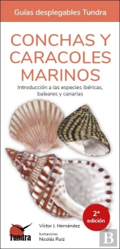 Conchas Y Caracoles Marinos - Guias Desplegables Tundra