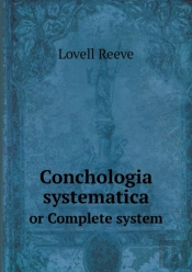 Conchologia Systematica Or Complete System