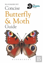 Concise Butterfly And Moth Guide