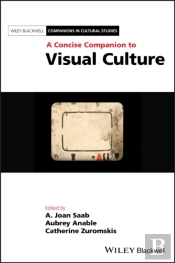 Concise Companion To Visual Culture