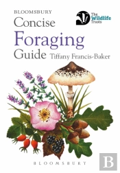 Concise Foraging Guide