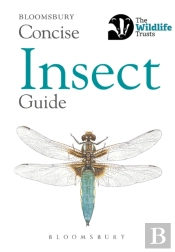 Concise Insect Guide