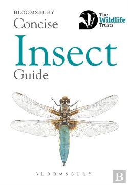 Bertrand.pt - Concise Insect Guide