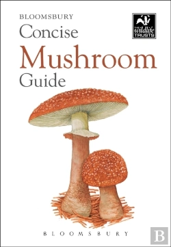 Bertrand.pt - Concise Mushroom Guide