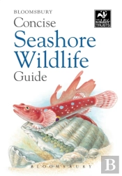Concise Seashore Wildlife Guide