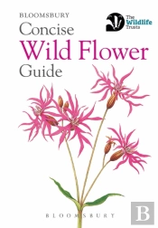 Concise Wild Flower Guide
