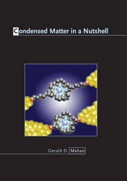 Bertrand.pt - Condensed Matter In A Nutshell