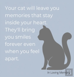 Bertrand.pt - Condolence Book For Cats  Hardback Cover