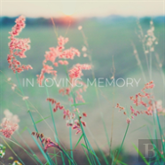 Condolence Book For Funeral (Hardcover)