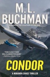Condor: An Ntsb-Military Technothriller