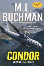 Condor: An Ntsb-Military Technothriller
