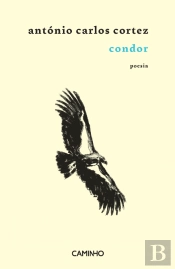 Condor
