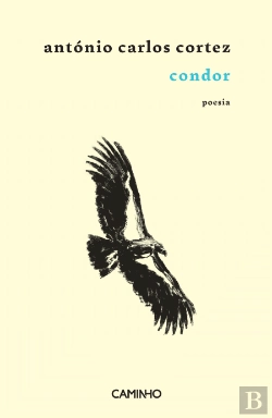 Bertrand.pt - Condor