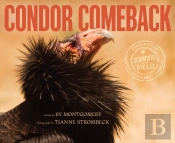 Condor Comeback