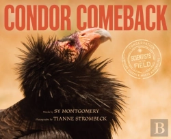 Bertrand.pt - Condor Comeback