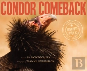 Condor Comeback