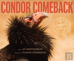 Bertrand.pt - Condor Comeback