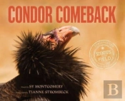 Condor Comeback