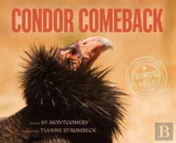 Bertrand.pt - Condor Comeback