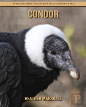 Condor